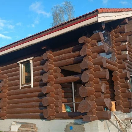 Таёжная рубка